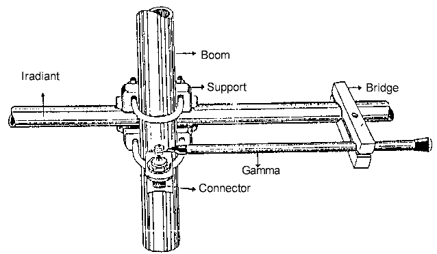 adagama.gif (7763 bytes)
